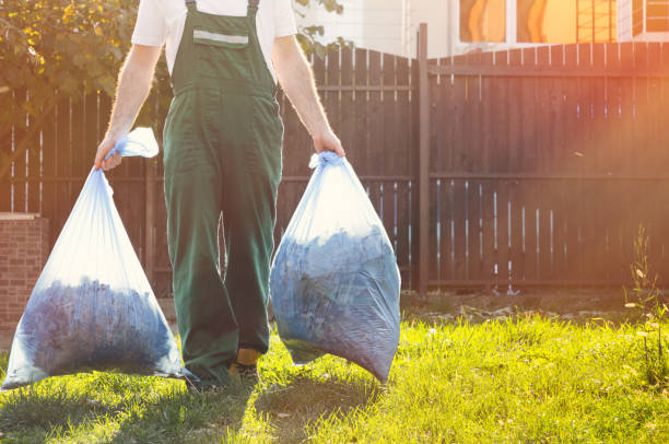 Best Electronics Removal Services  in Lapeer, MI